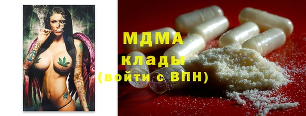 apvp Алзамай