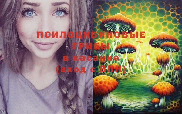 стафф Алексеевка