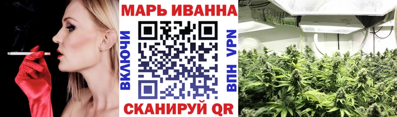 купить наркотики цена  Алушта  Бошки марихуана планчик 